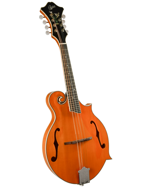 Already a name synonymous with quality and value when it comes to student mandolins, Rover introduces a new F-style mandolins that are sure to raise the bar of quality and VALUE even further. The Rover RM-75 is a well made instrument with all the bark and