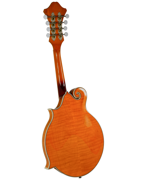 Already a name synonymous with quality and value when it comes to student mandolins, Rover introduces a new F-style mandolins that are sure to raise the bar of quality and VALUE even further. The Rover RM-75 is a well made instrument with all the bark and